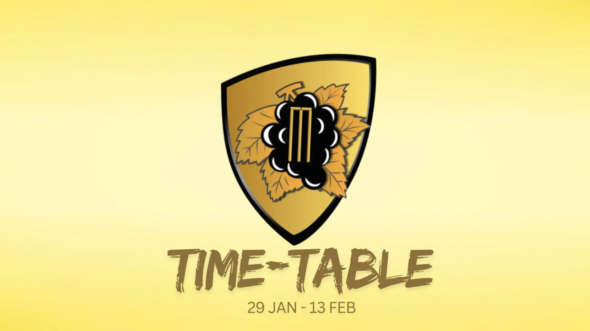 Boland T20 Super League 2025 Schedule (Date, Day, Time, Venue, Fixtures), Time Table in PDF, All Team Squad, TV Coverage Details