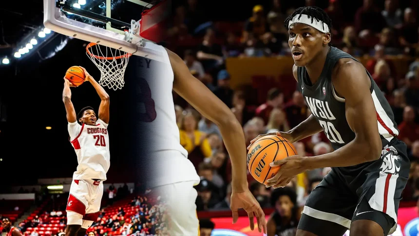 Rueben Chinyelu Scouting Report: Strengths, Weaknesses & NBA Potential